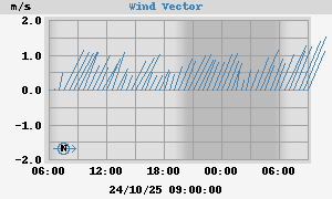Wind Vector
